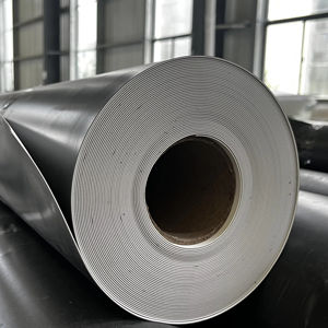 Geomembrana de HDPE en Rollo para Muros Modernos - Product Image 1