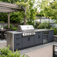 Cuisine extérieure personnalisée en acier inoxydable 304 pour jardin, sans formaldéhyde, ensemble de cuisine extérieure aux couleurs fraîches
