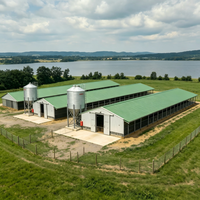 Poulailler moderne en structure acier à grande portée, anti-corrosion, avec ventilation intégrée, personnalisable pour l'élevage de volailles