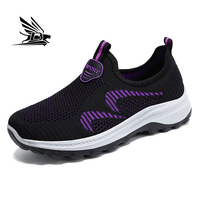 Chaussures de sport décontractées confortables de style nouveau pour femmes, chaussures de marche respirantes à la mode, légères et respirantes pour l'automne et le printemps