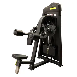 Fabricagesterkte Machine Laterale Verhoging Commerciële Laterale Gymnastiekfitnessapparatuur Lateraal Raise China