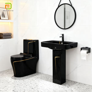 Ensemble de sanitaires en céramique de luxe, comprenant une toilette monobloc et un lavabo sur colonne, WC coloré - Product Image 1