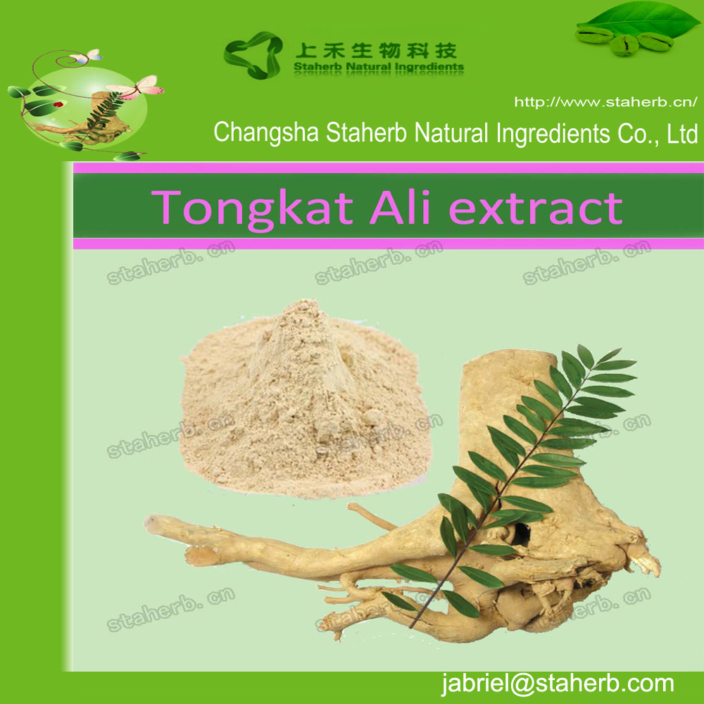 Tongkat ali/tongkat ali root/tongkat ali extract powder 100:1