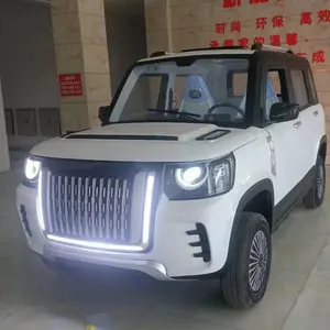 Mini Suv Adults Right Hand Drive Big Electric Car Electric Car For Sale