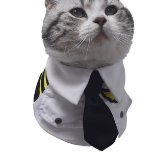 Pañuelo Triangular Tipo Uniforme de Piloto para Perros, Estilo Fuerza Aérea, Suave y Novedoso - Product Image 4
