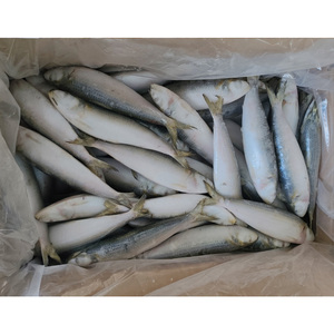 <span class=keywords><strong>Sardines</strong></span> Congelées en Gros : Lots Entiers de <span class=keywords><strong>Sardines</strong></span> Congelées en Boîte – Excellente Qualité en Vrac - Product Image 3