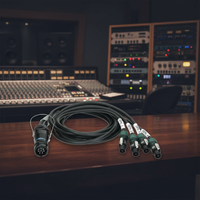 Câble Répartiteur Audio Professionnel 8 Broches PA-COM Mâle vers Quad NL4 pour Haut-Parleur, Adaptateur Audio 4 Voies avec Garantie de 3 Mois