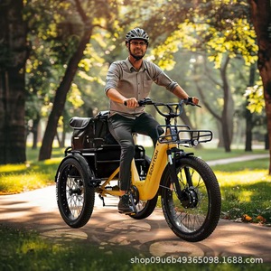 Vélo <span class=keywords><strong>cargo</strong></span> électrique polyvalent à cadre bas 500W 48V avec batterie au lithium 24 pouces - Pour usage familial et professionnel - Product Image 2
