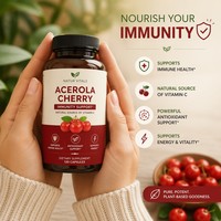 Poudre de cerise Acerola FVP-5 Premium 100% soluble dans l'eau, poudre de fruit de cerise instantanée riche en vitamine C pour les boissons et les aliments