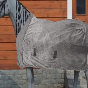 Comfortable and Thickened Horse <b>Blanket</b> Warm Jacket Windproof Horse <b>Blanket</b> Convenient Equestrian Supplies Warm Horse Jacket - Product Image 6