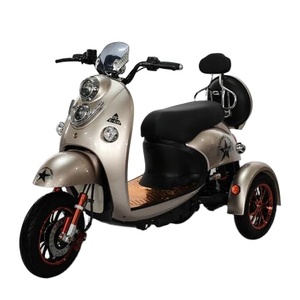 รถสามล้อโดยสารสำหรับผู้ใหญ่รุ่น Tdr-302 ราคาดีที่สุด พร้อมที่นั่ง - Product Image 2