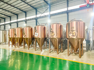 Thiết bị bia cổ điển vật liệu đồng Đỏ <span class=keywords><strong>microbrewery</strong></span> bể lên men 1000L - Product Image 4