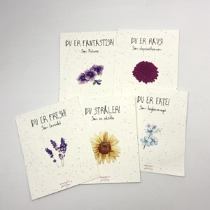 Tarjeta de Semillas Biodegradable de Papel Especial con Semillas Recicladas de Girasol y Menta para <span class=keywords><strong>Cultivar</strong></span>, Ideal para el Día de Acción de Gracias - Product Image 5