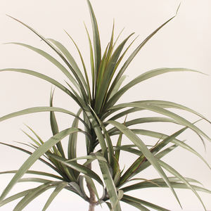 JWT3789 Planta Bonsai de Agave Artificial de Alta Calidad para Hotel Boda Graduación Navidad Año Nuevo Decoraciones - Product Image 2