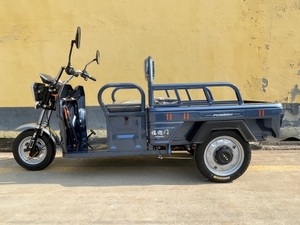 Venta al por mayor de fábrica: Vehículo de tres ruedas de tipo abierto para uso doméstico con capacidad de carga de 200-300 kg, autonomía de 50-70 km y velocidad de 30-50 km/h - Product Image 4