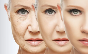 สารสกัดจากผลอะเซโรลา ออร์แกนิคแท้ 100% เกรดอาหาร วิตามินซี 17% ชนิดผง บรรจุขวด - Product Image 4