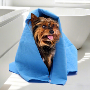 Serviettes de bain pour chiens et chats en daim écologiques personnalisées, super absorbantes, en chamois, lavables, tissu de séchage, fournitures pour chiens, 66x43cm/43x32cm - Product Image 1