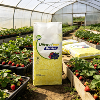Sac tissé en PP de 25 kg pour engrais granulaire en bloc, idéal pour la plantation de baies – Marché sud-américain