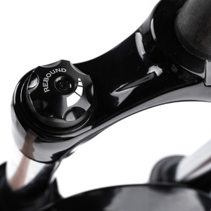 BF10 prezzo di fabbrica 26 "sospensione completa BMX <span class=keywords><strong>Jump</strong></span> strada forcella anteriore pressione olio sterzo dritto - Product Image 5