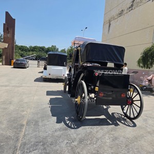 รถม้าชมวิวตกแต่งอย่างประณีต งานตกแต่งตามสั่งสำหรับงานเทศกาลวันหยุด งานแต่งงาน และงานอีเว้นท์ธีมต่างๆ - Product Image 5