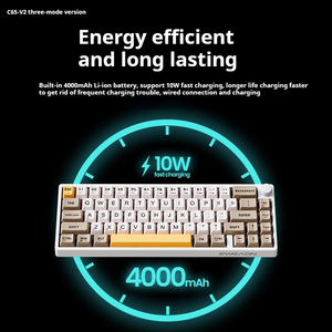 EWEADN 67-Key RGB Backlit Computador Gaming Teclado Hot Swappable 2.4G Sem Fio USB Novo Mecânico Hot Swappable Junta - Product Image 4