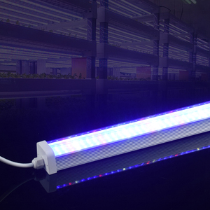 Fresa fruta <span class=keywords><strong>uva</strong></span> flor agricultura 600/1200/1500MM impermeable tipo 150 grados T12 accesorio espectro completo Led Grow Li - Product Image 3