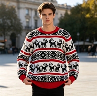Pull en tricot Fair Isle pour homme, col rond, motif renne et flocon de neige, manches longues, pull de fête festif