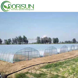 <span class=keywords><strong>Mini</strong></span> <span class=keywords><strong>serre</strong></span> d'intérieur en fer forgé de style victorien pour <span class=keywords><strong>semis</strong></span>, prix de gros - Product Image 4