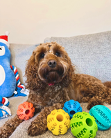 Distributeur de friandises avec logo personnalisé, jouet interactif pour chien, durable, sans BPA, en silicone de qualité alimentaire, balles à mâcher rebondissantes pour animaux de compagnie
