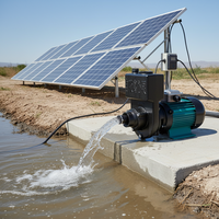 Pompe à eau solaire photovoltaïque centrifuge de surface auto-amorçante haute puissance grand débit avec garantie 1 an