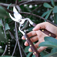 Ciseaux à bonsaï antiques japonais pour couper les fleurs de jardin