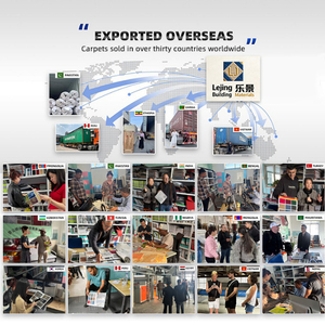 <span class=keywords><strong>Tappeto</strong></span> in <span class=keywords><strong>Polipropilene</strong></span> per Esterni per Eventi e Celebrazioni, Durevole e Resistente all'Usura, Adatto agli Animali Domestici, Antiscivolo, Prodotto in Cina, in Rotoli - Product Image 5