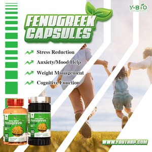 OEM/ODM Service Fenegriek Extract Voedingssupplement Capsules - GMP-gecertificeerd, voedingskwaliteit, 90 capsules/fles, voor volwassenen - Product Image 2