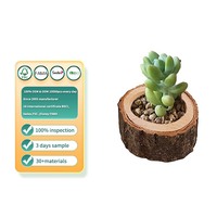 Pot de fleurs en bois naturel, style rustique, en forme de souche d'arbre, pour plantes succulentes, cactus, décoration de table, jardin, maison