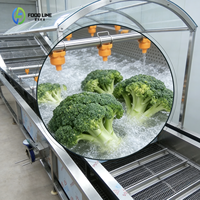 Knoflookwortel- en modderverwijderingsmachine Knoflook hogedruk-belreinigingsmachine