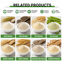 Poudre de protéines de riz hydrolysées Tianjia, ingrédient végétal pur pour la nutrition alimentaire et la fabrication de produits santé