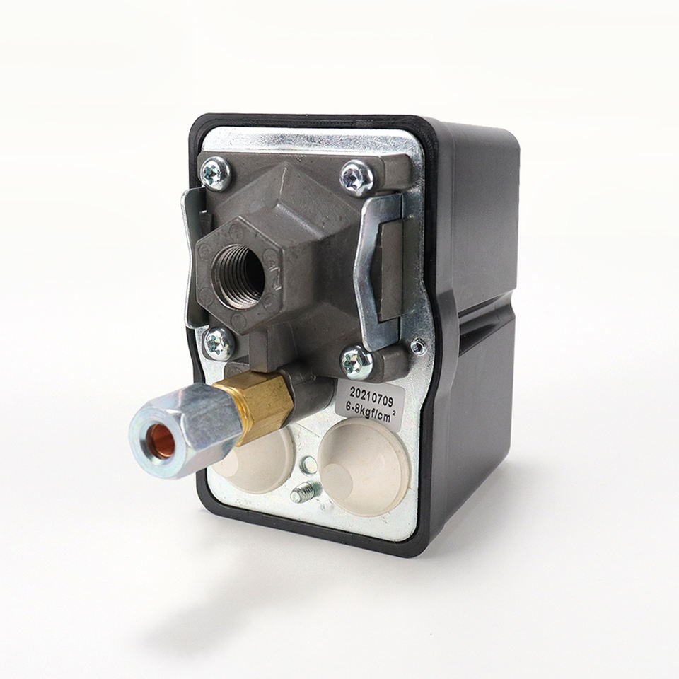LEFOO LF19 Pressure Switch for Water Pumps & Air Compressors with ...