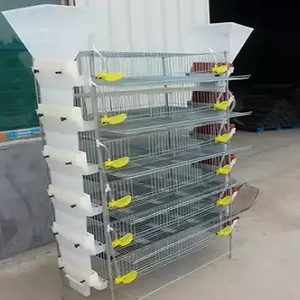 Cage de batterie de caille automatique de nouvelle conception de prix bon marché avec le système d'eau - Product Image 3