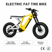 Vélo électrique tout-terrain 20 pouces avec pneus larges 4.0, moteur sans balais 500W, cadre en alliage d'aluminium, frein à disque hydraulique, batterie au lithium 36V14Ah