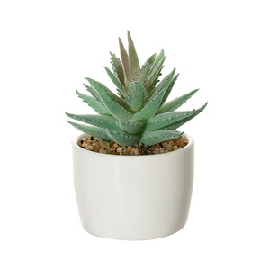 Mini-bonsaï artificiel succulent en pot pour la maison, le <span class=keywords><strong>bureau</strong></span> ou la décoration commerciale - Product Image 1