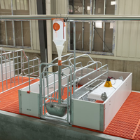 Enclos de maternité moderne en PVC pour porcs, double/simple, pour truies et porcelets