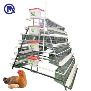 Jaula para Pollos Tipo A, Jaula Automática para Gallinas Ponedoras, Jaulas de 3 Niveles con Bebedero Automático, <span class=keywords><strong>Gallinero</strong></span> de Acero Galvanizado para 10000 Aves - Product Image 1