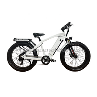 Vélo électrique Fat Bike 26 pouces, grande puissance 48V Bafang, vélo de plage vintage, vélo électrique