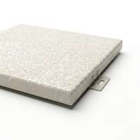 Panneau composite en aluminium ignifuge de haute qualité à texture pierre, garantie 5 ans, revêtement personnalisé à grain de pierre pour usage commercial