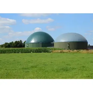 Support de stockage de biogaz à double membrane dans un fermenteur de biogaz Générateur de biogaz industriel à vendre