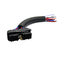 Connecteur automatique à 30 broches ECU ECM Socket Pièces de machines de forage pétrolier Fiche de faisceau de câbles 15492543