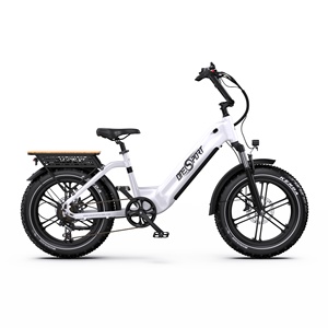 Bicicleta Eléctrica de Diseño Bajo con Cuadro Ancho para Hombres y Mujeres, Neumáticos Anchos KENDA, Frenos de Disco Dobles, Llanta Trasera, Gran Autonomía, 48V - Product Image 2