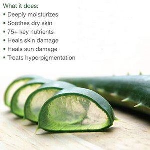 100% puro Gel di Aloe Vera <span class=keywords><strong>crema</strong></span> viso <span class=keywords><strong>lenitiva</strong></span> <span class=keywords><strong>scottature</strong></span> solari e Acne idrata la pelle - Product Image 4