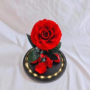 Beautiful <strong>Ornaments</strong> of Beauty and the Beast Valentines Gifts Beauty and the Beast Rose in <strong>Glass</strong> Preserved Rose in <strong>Glass</strong> Dome