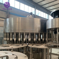 Machine de mise en bouteille de boissons gazeuses en acier inoxydable SUS316, remplisseuse de bouteilles à contre-pression et contrôle automatique